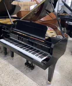 KAWAI GL20 PE
