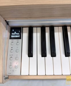KAWAI CN29 LO