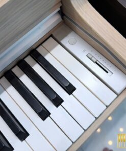 KAWAI CN29 LO