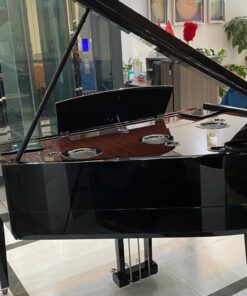 AVANT GRAND N3X (USED)