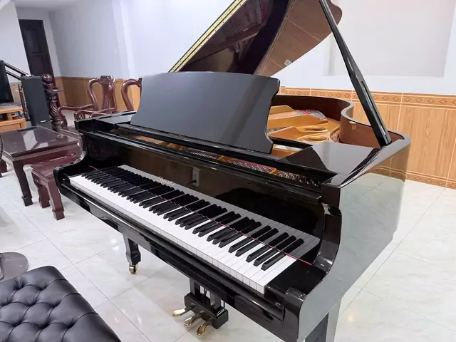 Ritmuller GP160R1 PE (USED)