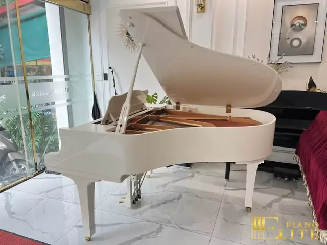 YAMAHA C2 WH Seri 5