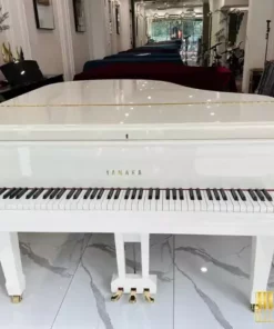 YAMAHA C2 WH Seri 5