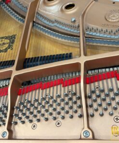 YAMAHA C2 WH Seri 5