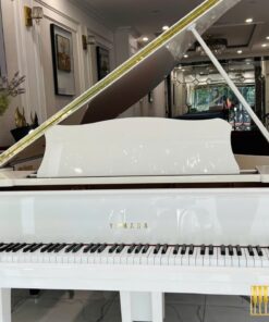 YAMAHA C2 WH Seri 5