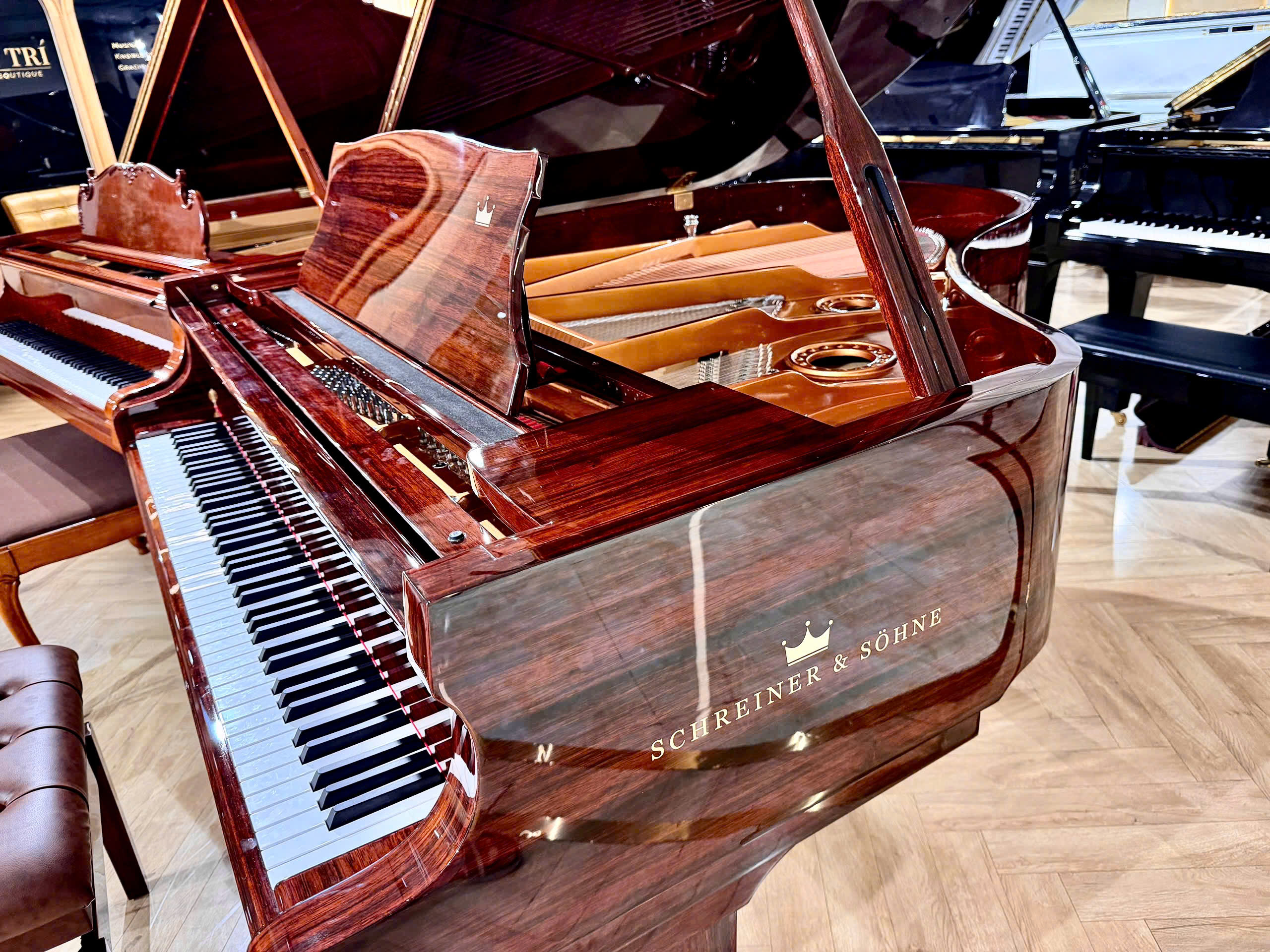 Review Schreiner & Söhne GP-170 (Macassar Ebony) – Hình ảnh thực tế tại showroom Nah Music