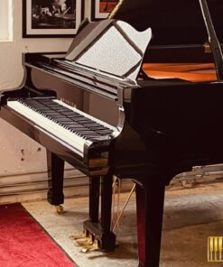 Wilhelm Schimmel W180 Tradition (Ebony High Gloss)