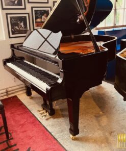 Wilhelm Schimmel W180 Tradition (Ebony High Gloss)