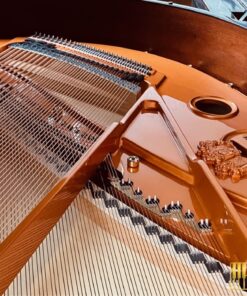 Wilhelm Schimmel W180 Tradition (Ebony High Gloss)