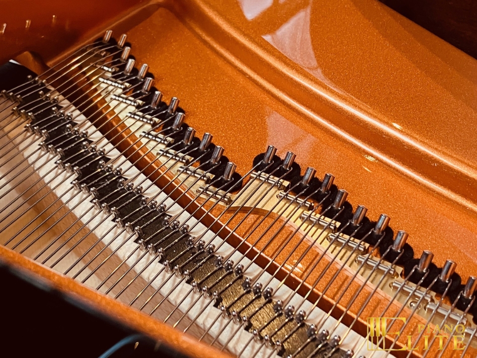 Review Wilhelm Schimmel W180 Tradition (Ebony High Gloss) – Hình ảnh thực tế tại showroom Nah Music