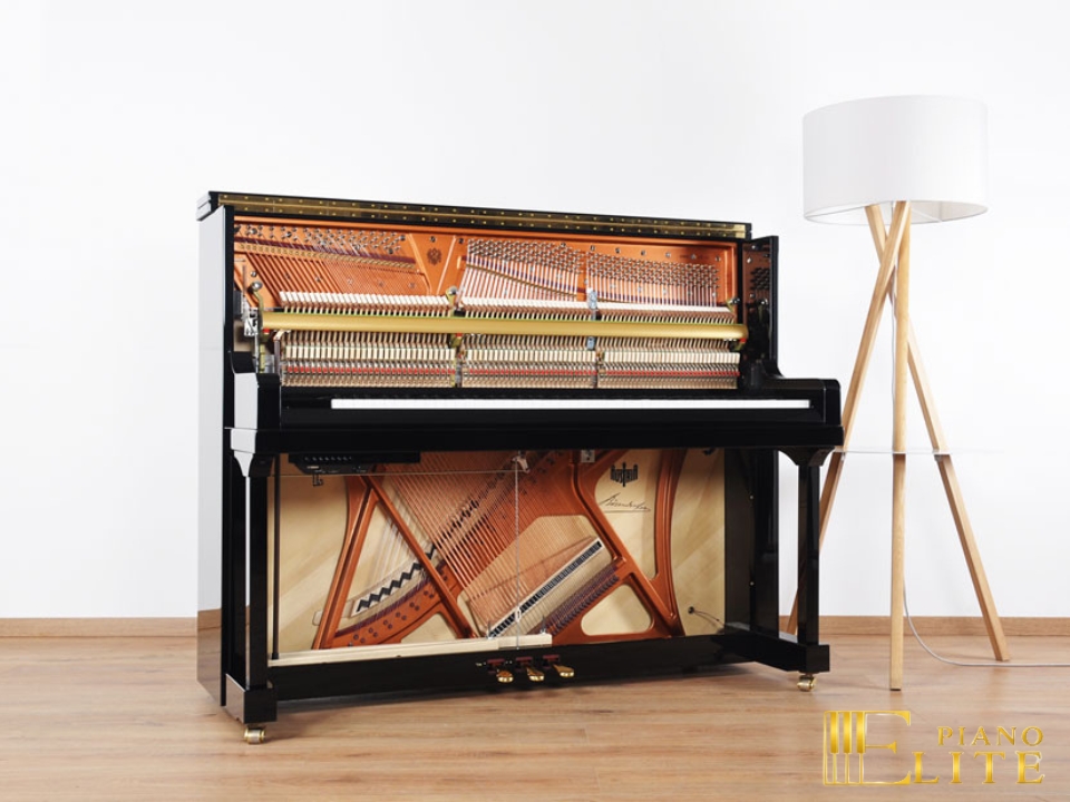 Bösendorfer 120 CL - Nah Music