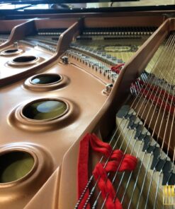 YAMAHA C5X (USED)