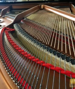YAMAHA C5X (USED)