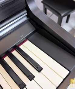 ROLAND RP-701 DR (Used)