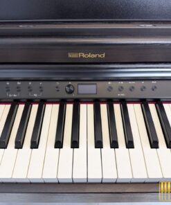 ROLAND RP-701 DR (Used)