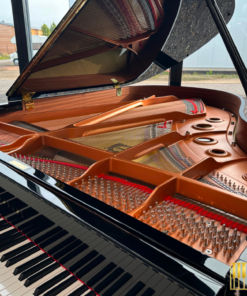 YAMAHA C3X (USED)