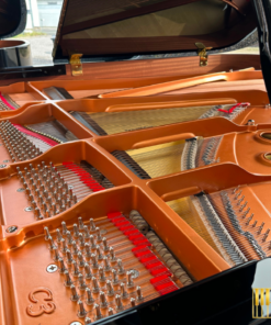YAMAHA C3X (USED)