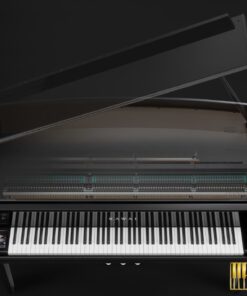 KAWAI Novus NV12