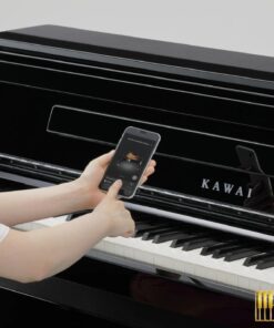KAWAI CA901 EP