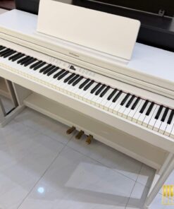 ROLAND RP-701 WH (Used)