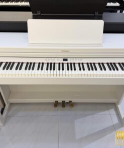 ROLAND RP-701 WH (Used)