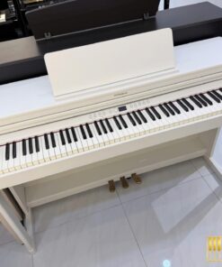 ROLAND RP-701 WH (Used)
