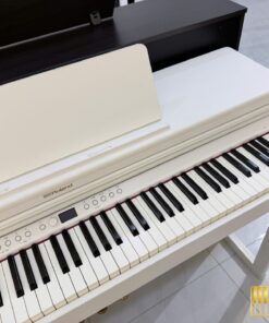 ROLAND RP-701 WH (Used)