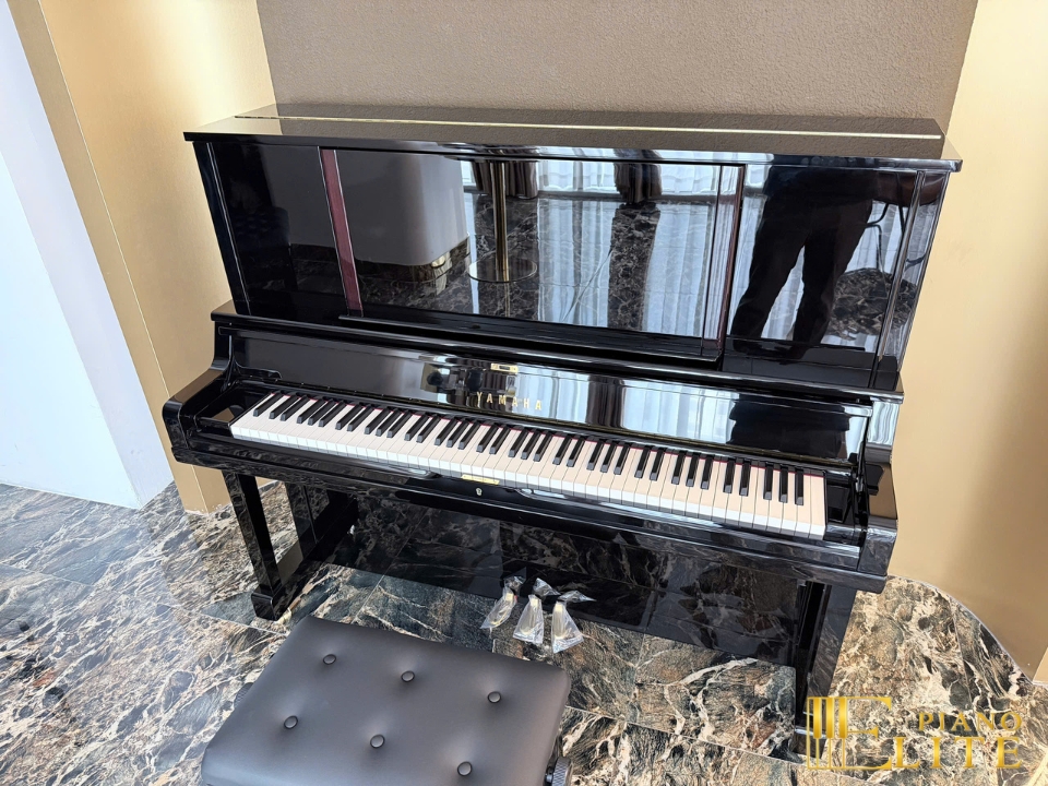 YAMAHA YUS5 PE (new) - Nah Music