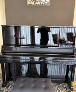 YAMAHA YUS5 PE (new)