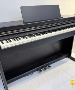 ROLAND RP-701 CB (USED)