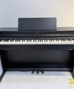ROLAND RP-701 CB (USED)