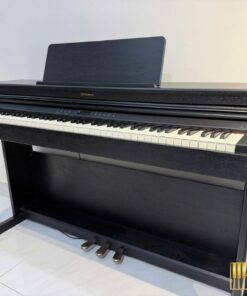 ROLAND RP-701 CB (USED)