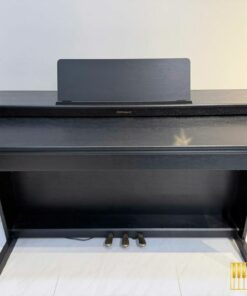 ROLAND RP-701 CB (USED)