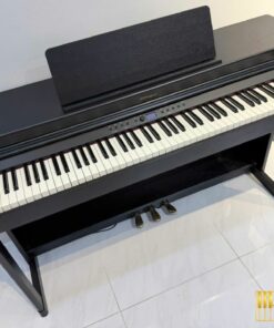 ROLAND RP-701 CB (USED)