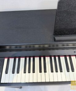 ROLAND RP-701 CB (USED)