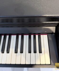 ROLAND RP-701 CB (USED)