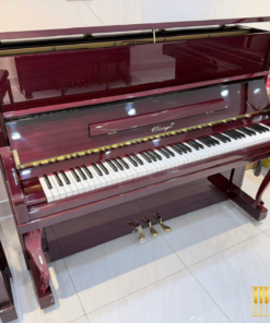 Vierge V-116M