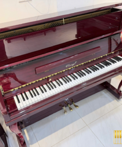 Vierge V-116M