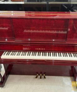 YAMAHA UX300 BiC