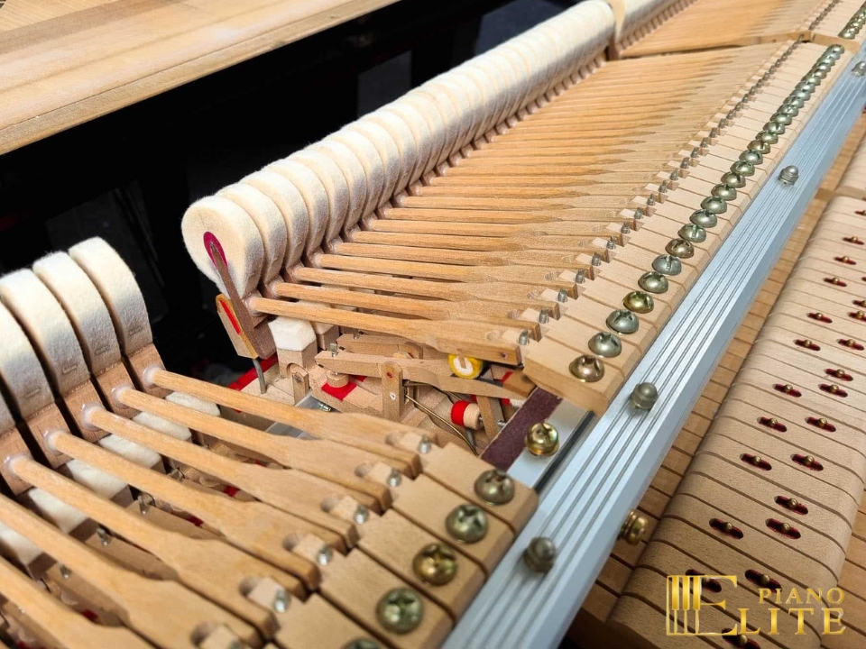 YAMAHA S400B – Mặt sau và hệ thống dây đàn Yamaha
