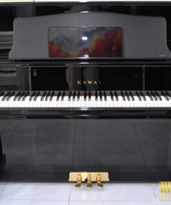 KAWAI DS-8E