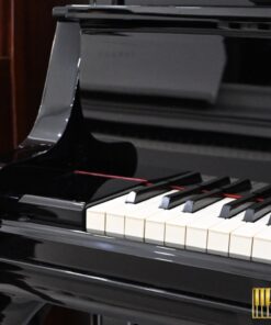 KAWAI DS-8E