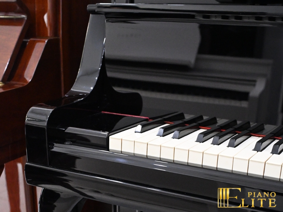 KAWAI DS-8E - Nah Music