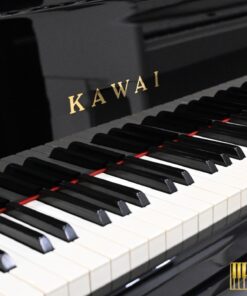 KAWAI DS-8E