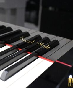 KAWAI DS-8E