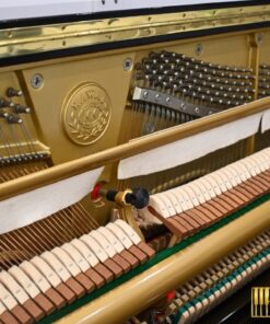 KAWAI DS-8E