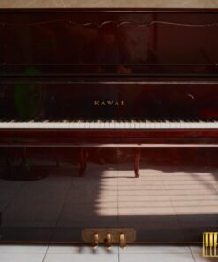 KAWAI DS-8B