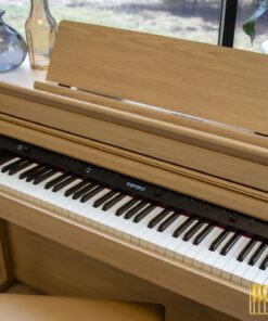 ROLAND HP-704 LO (USED)