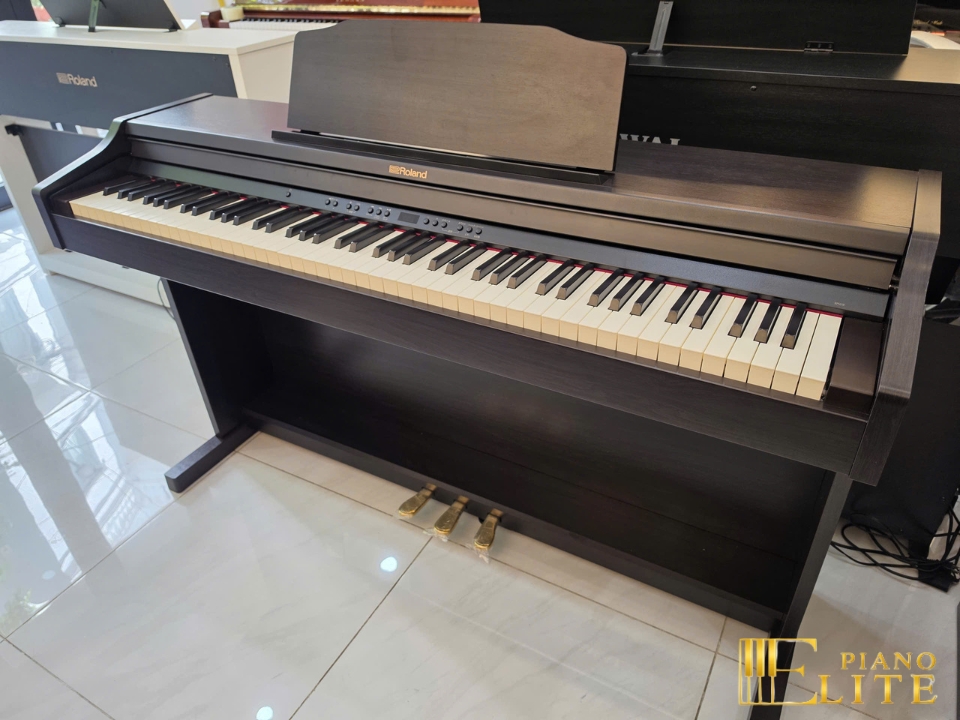 ROLAND RP-501R