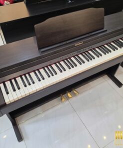 ROLAND RP-501R